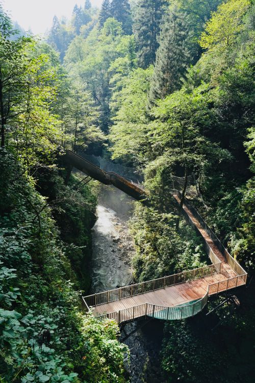 Free Nature walkway through lush forest over a scenic river gorge, perfect for adventure and travel enthusiasts. Stock Photo