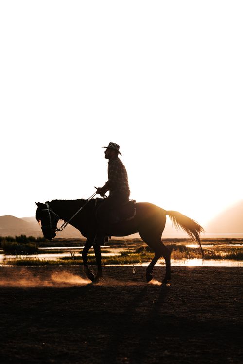 Free Captivating silhouette of a horse rider captured against a sunset backdrop in Kayseri, Türkiye. Stock Photo