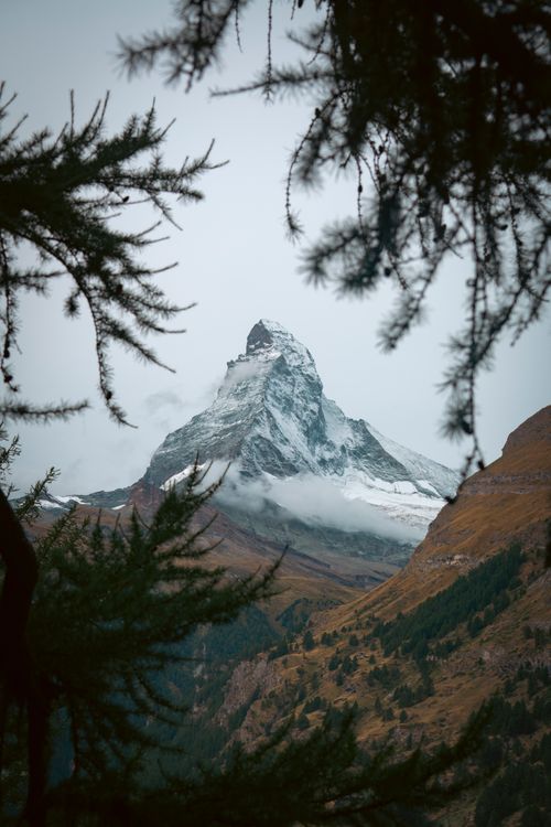Free Stunning view of the iconic Matterhorn framed by foliage in autumn. Stock Photo