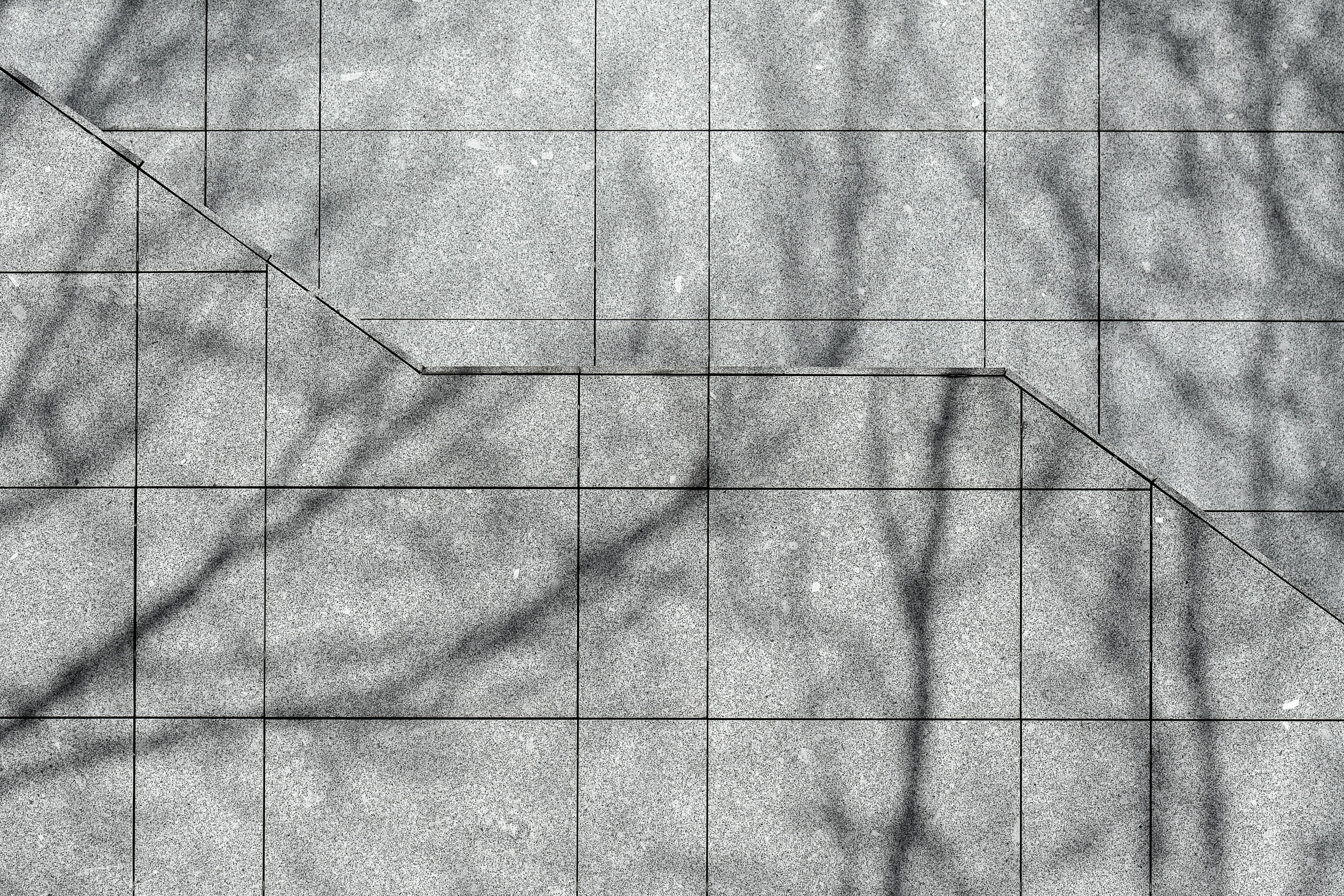 Intriguing shadows of branches create abstract shapes on a tiled concrete surface.