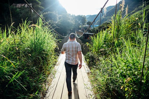 一名男子走过一座木桥，桥上阳光明媚，四周绿草如茵