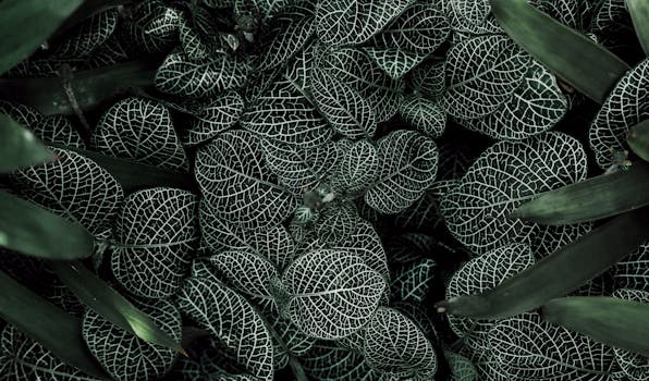 Intricate patterns of green leaves with white veins in a close-up view, perfect for nature backgrounds.