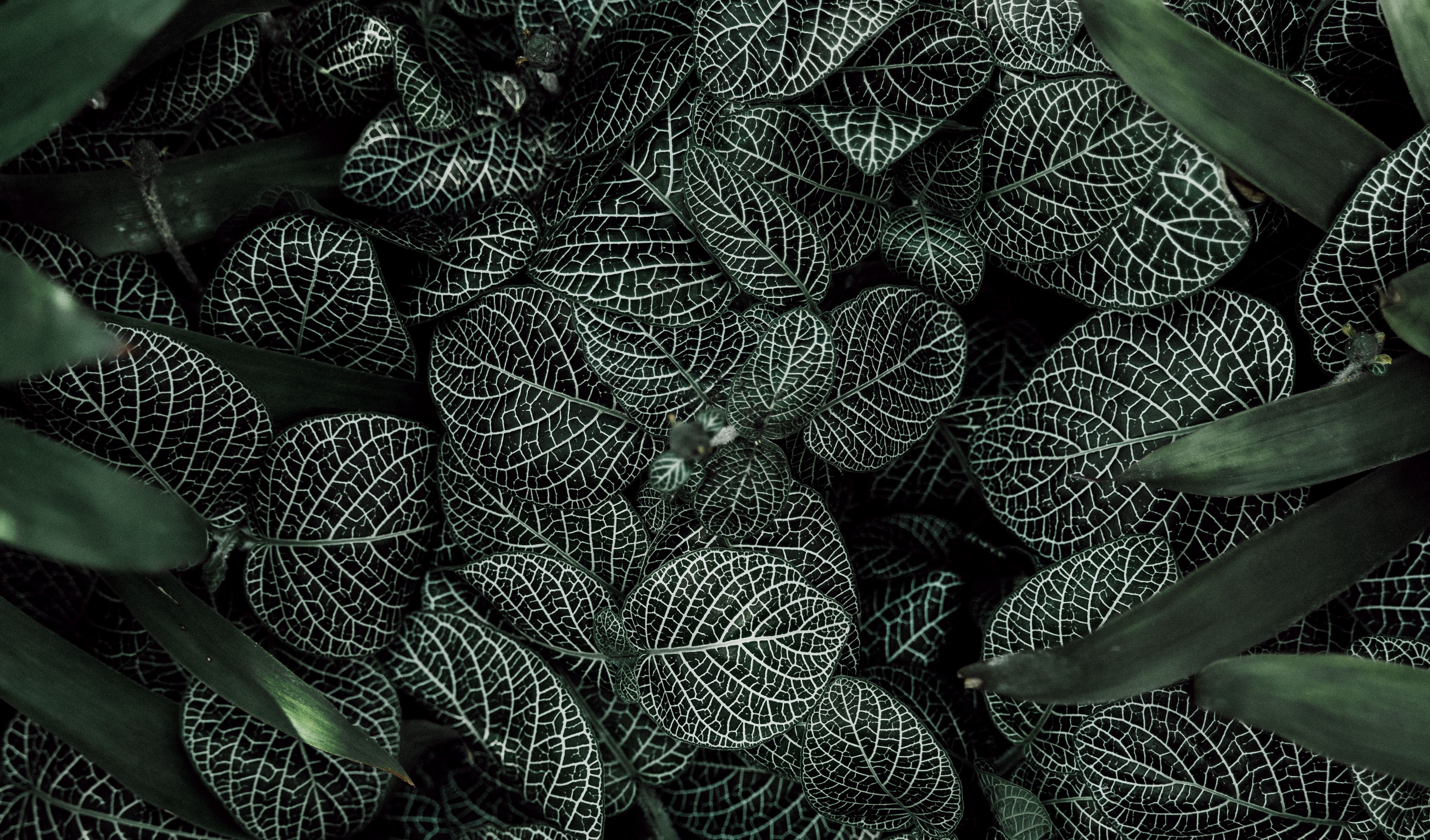 Pc Games Promotion 101