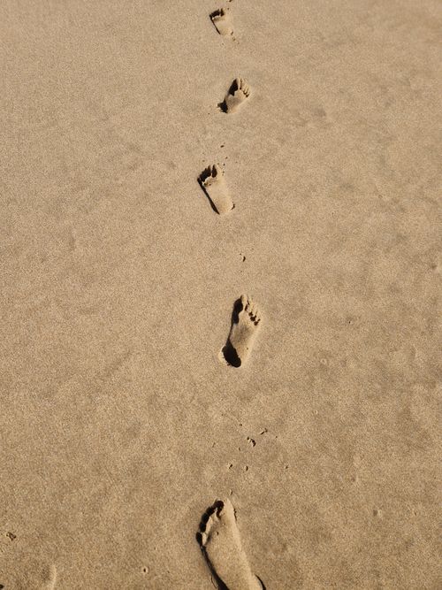 Free Footprints leading across a sunny beach, capturing the essence of a summer coastal walk. Stock Photo