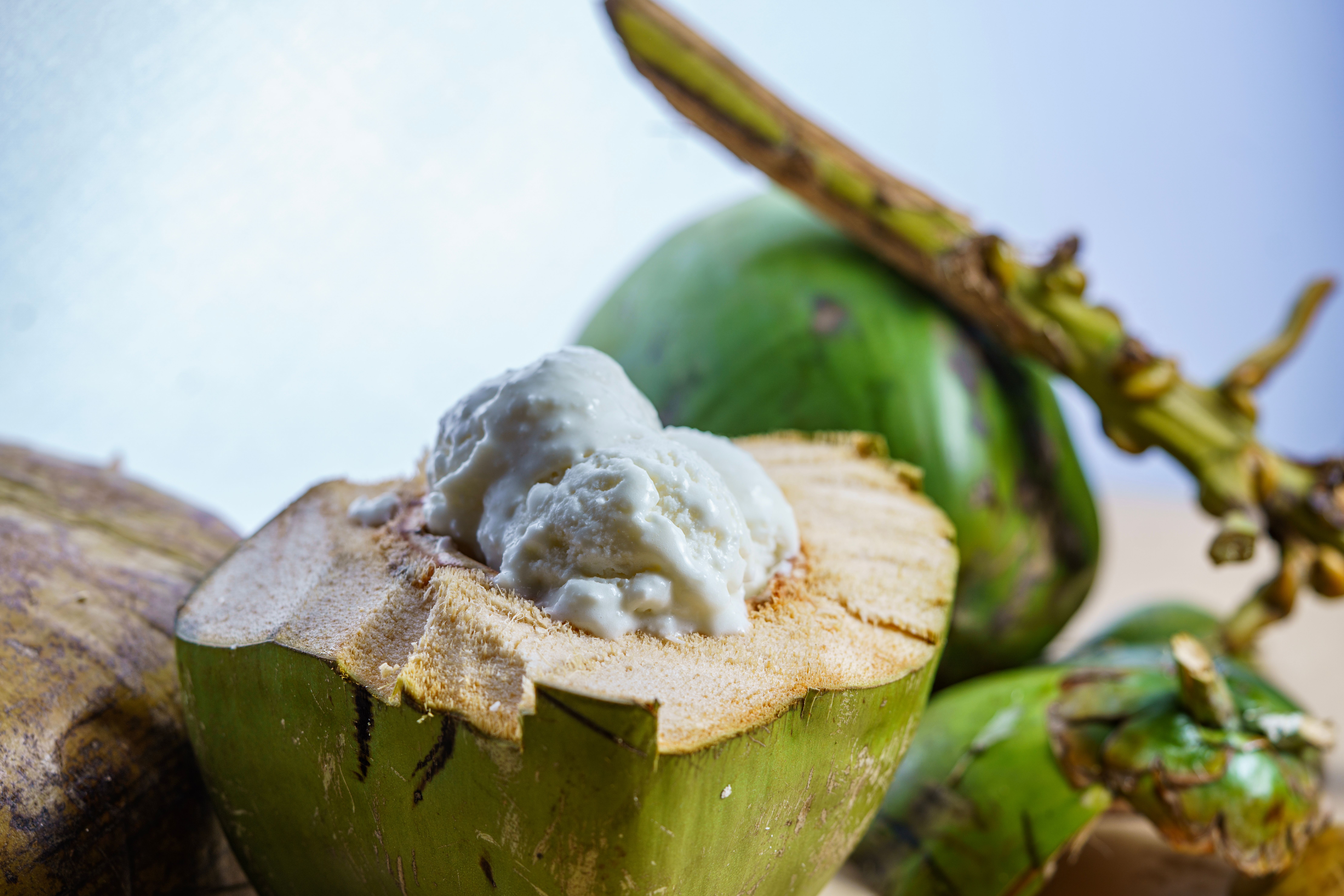 🥥 짜뚜짝 코코넛 아이스크림