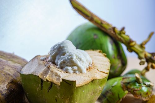 Free Close-up of a fresh coconut served with creamy ice cream on top, showcasing tropical flavors. Stock Photo