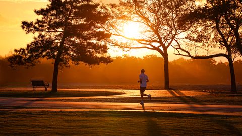 Silhouette of a runner at sunrise in Stamford's serene park setting.