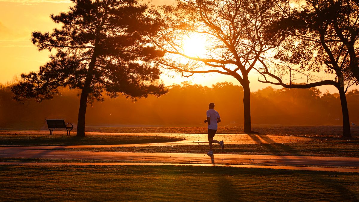 Best Event Ticket Giveaways in Plano, TX: 2026 Local Guide