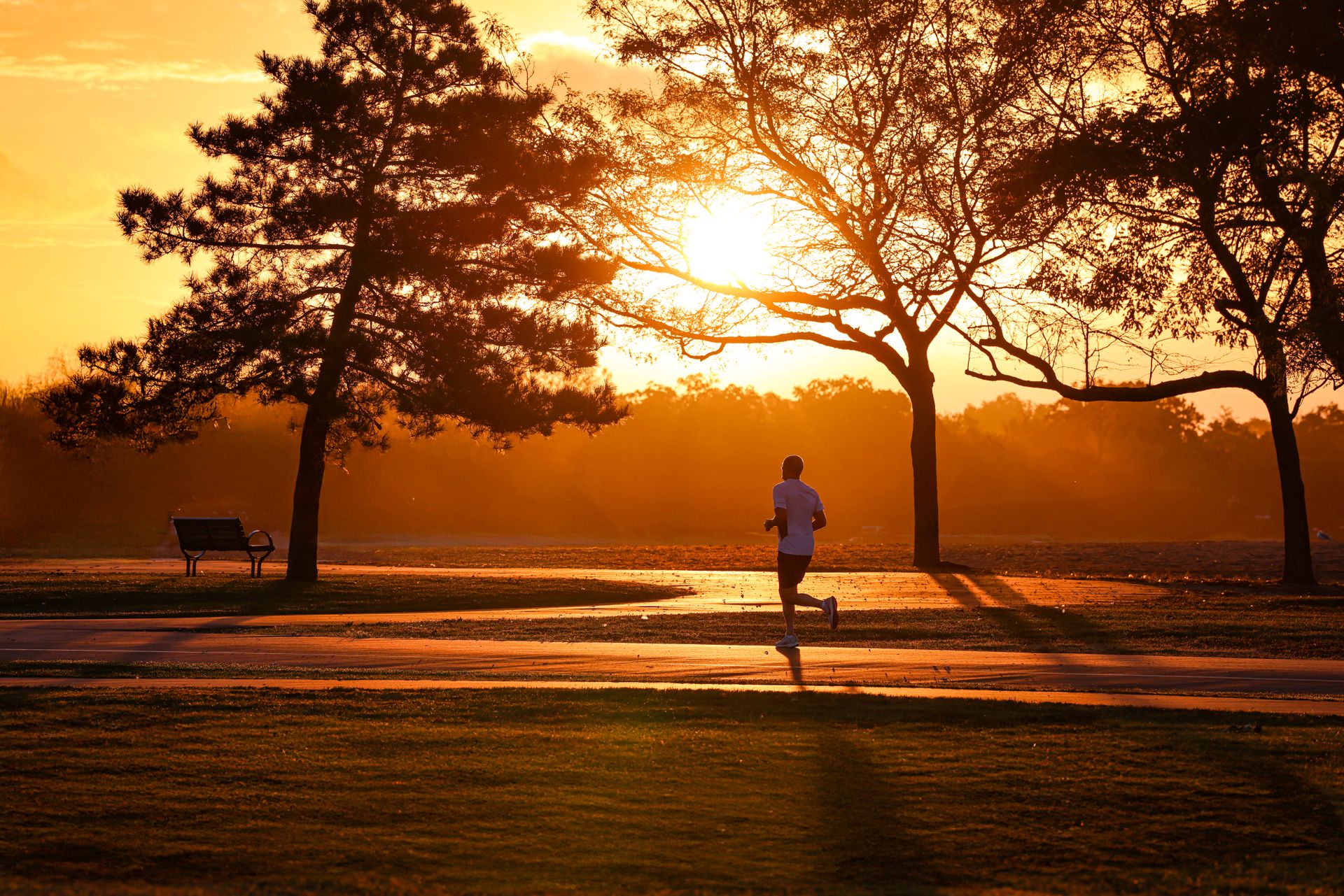 Un sendero para correr vacio en un parque al amanecer