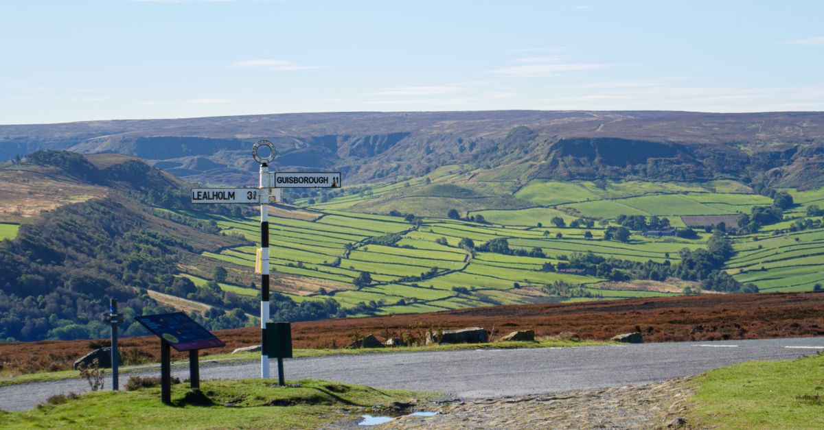 Heartwarming Stories from Yorkshire Brighten August 9