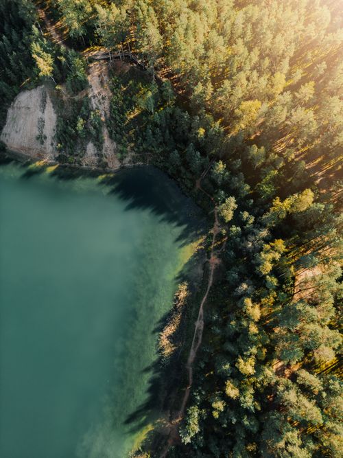 Free Stunning aerial shot of a forest by a serene lake during sunrise, capturing nature's tranquility. Stock Photo