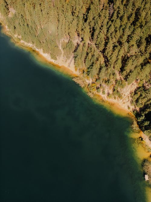 Free Stunning aerial view of dense forest bordering deep blue lake waters. Stock Photo
