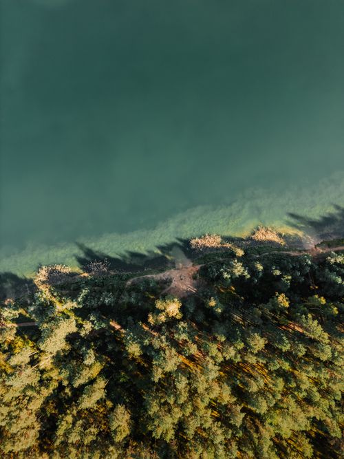 Free Stunning aerial shot of a forest meeting a serene lake, capturing nature's peaceful beauty from above. Stock Photo
