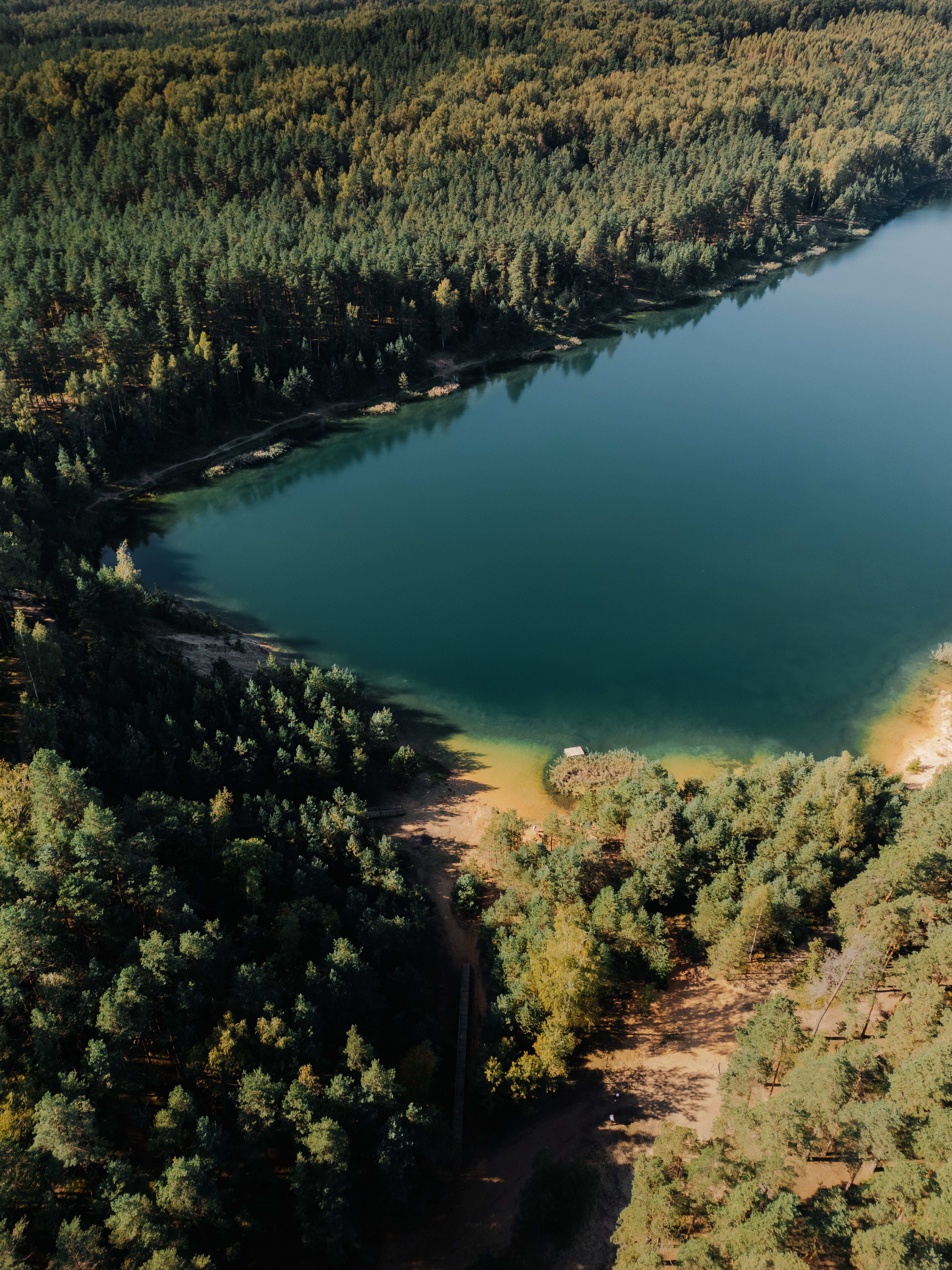 Aerial View of Lush Forest Surrounding Tranquil Lake · Free Stock Photo