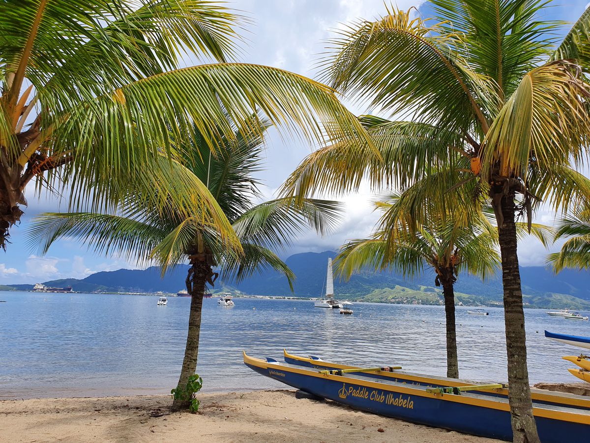 Tropical beach club with palm trees and calm water