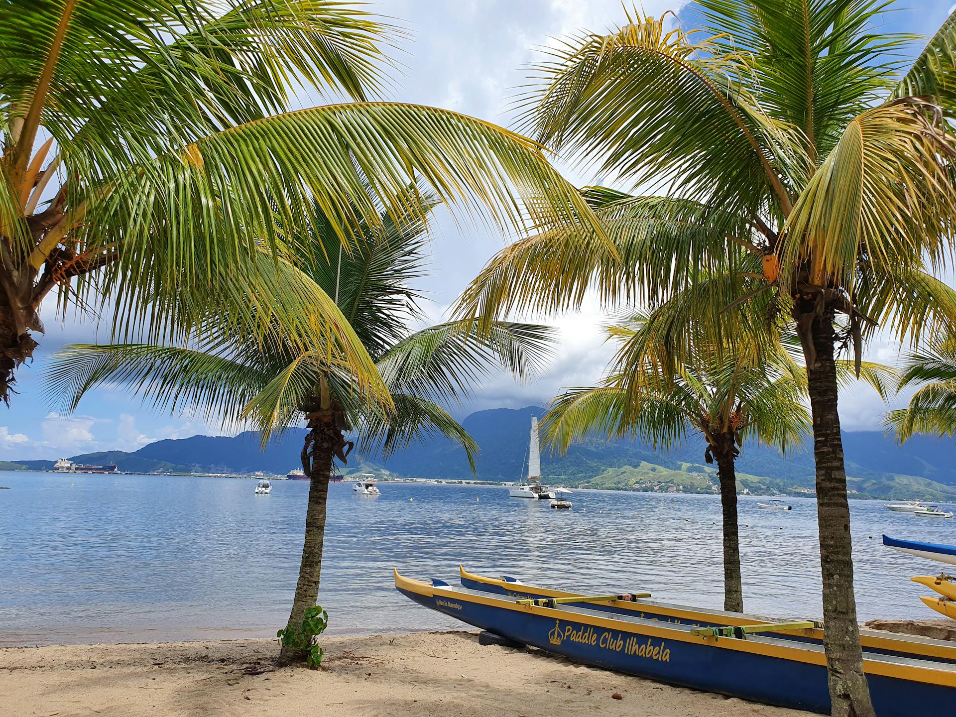 Tropical Beach with Palm Trees and Boats