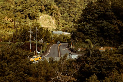 Black Vehicle on Road Surrounded With Tall and Green Trees