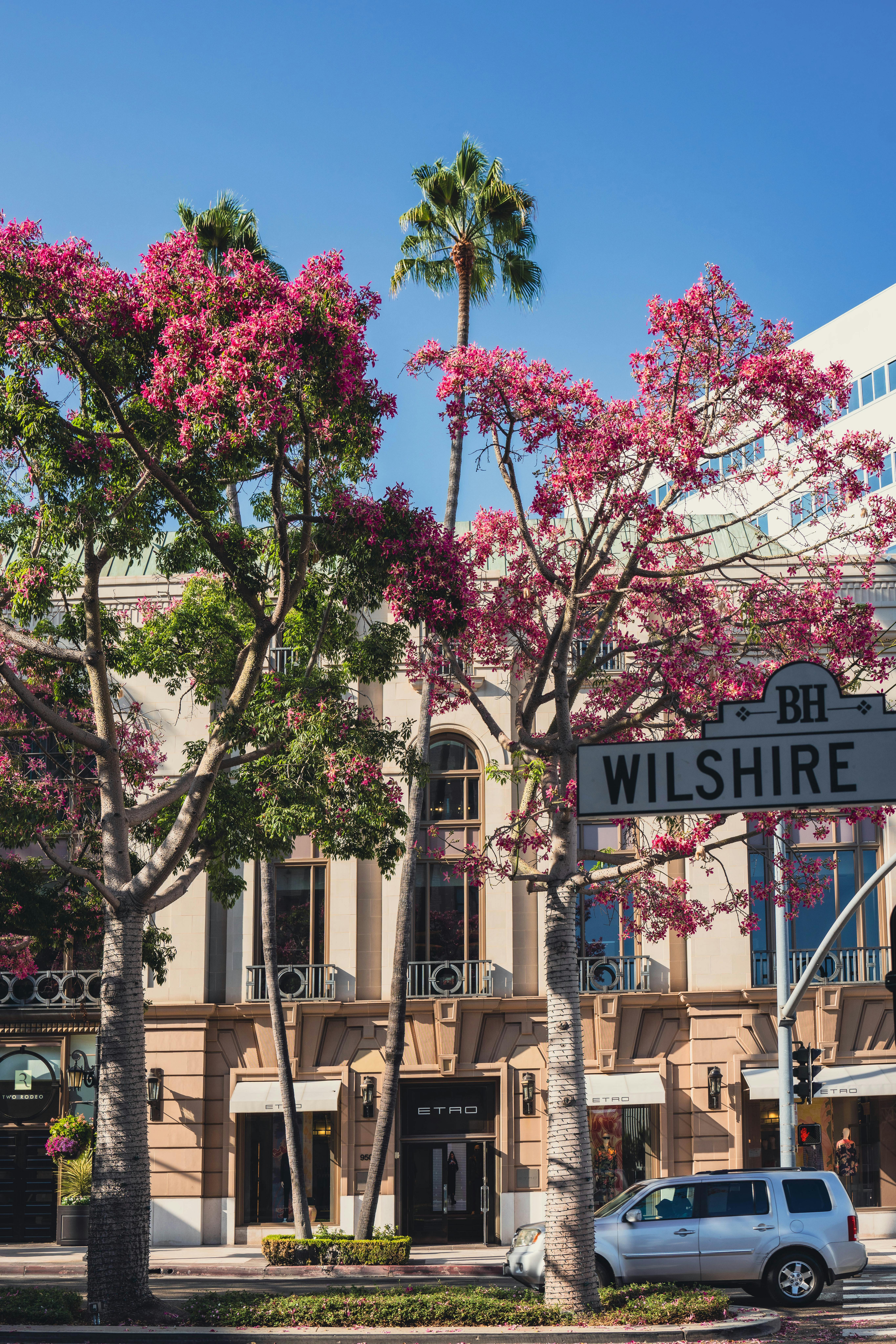 Reclusorio Norte: ¿Qué Secretos Esconde Este Infame Penal? 5 Los 10 Delitos Más Comunes en Reclusorio Norte: Estadísticas que Te Sorprenderán