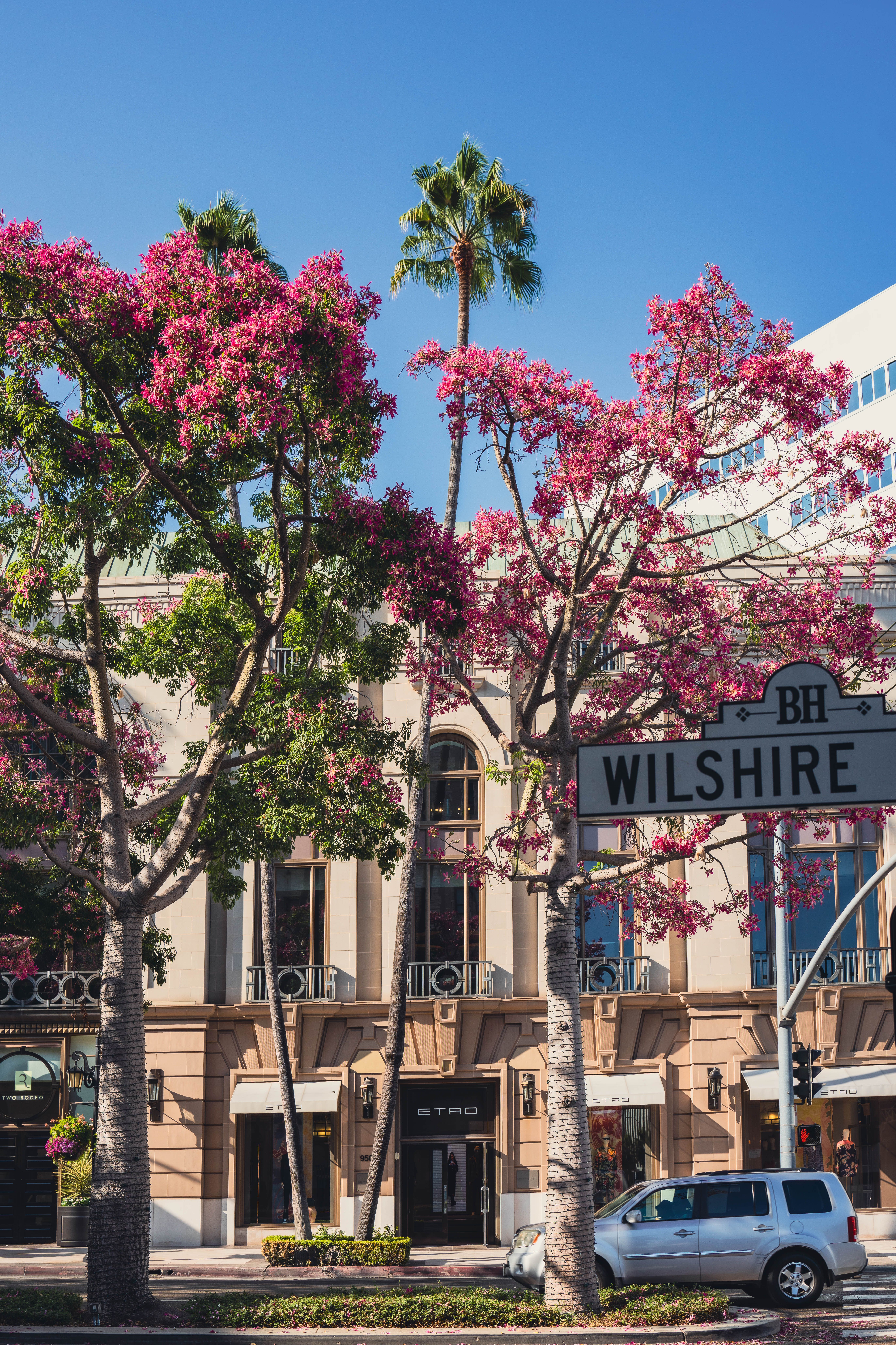 Vibrant Wilshire Boulevard in Los Angeles · Free Stock Photo
