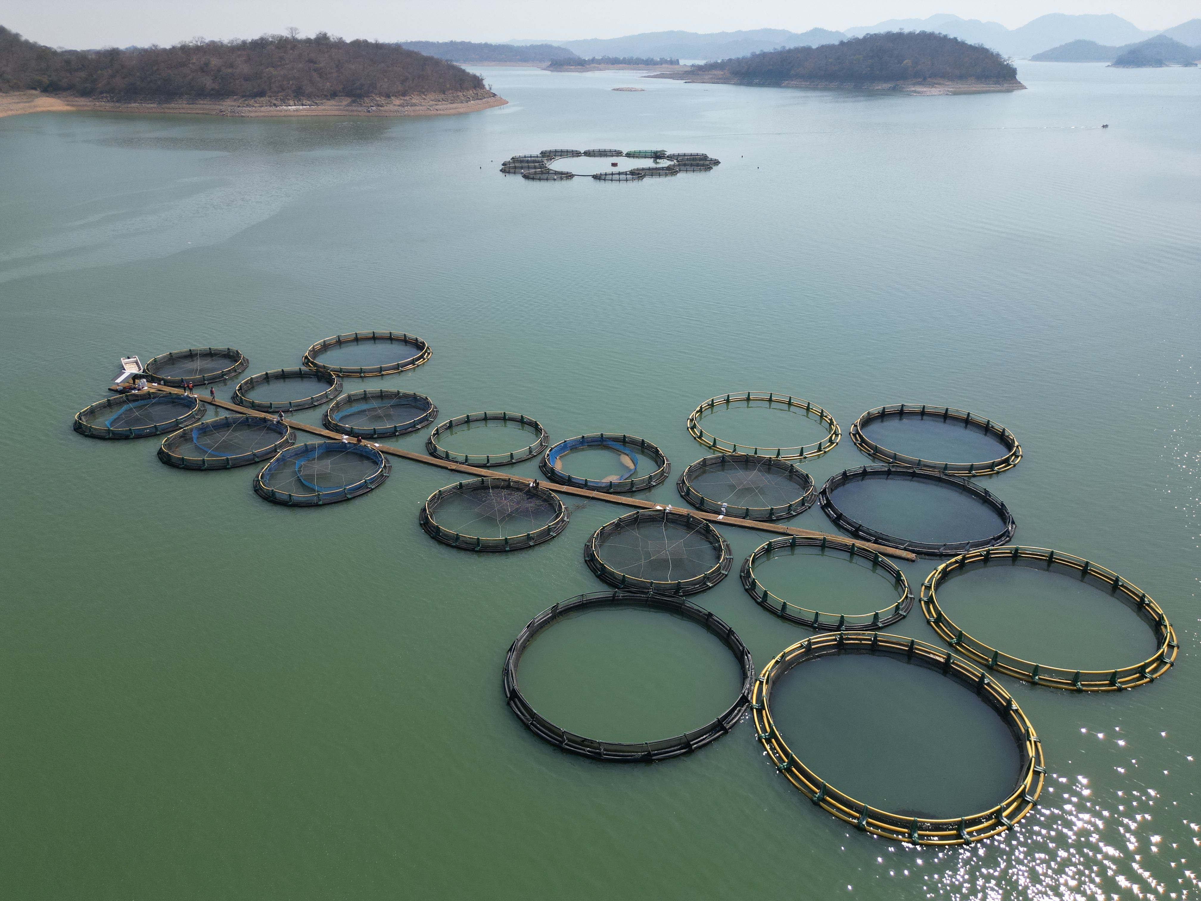Pisciculture