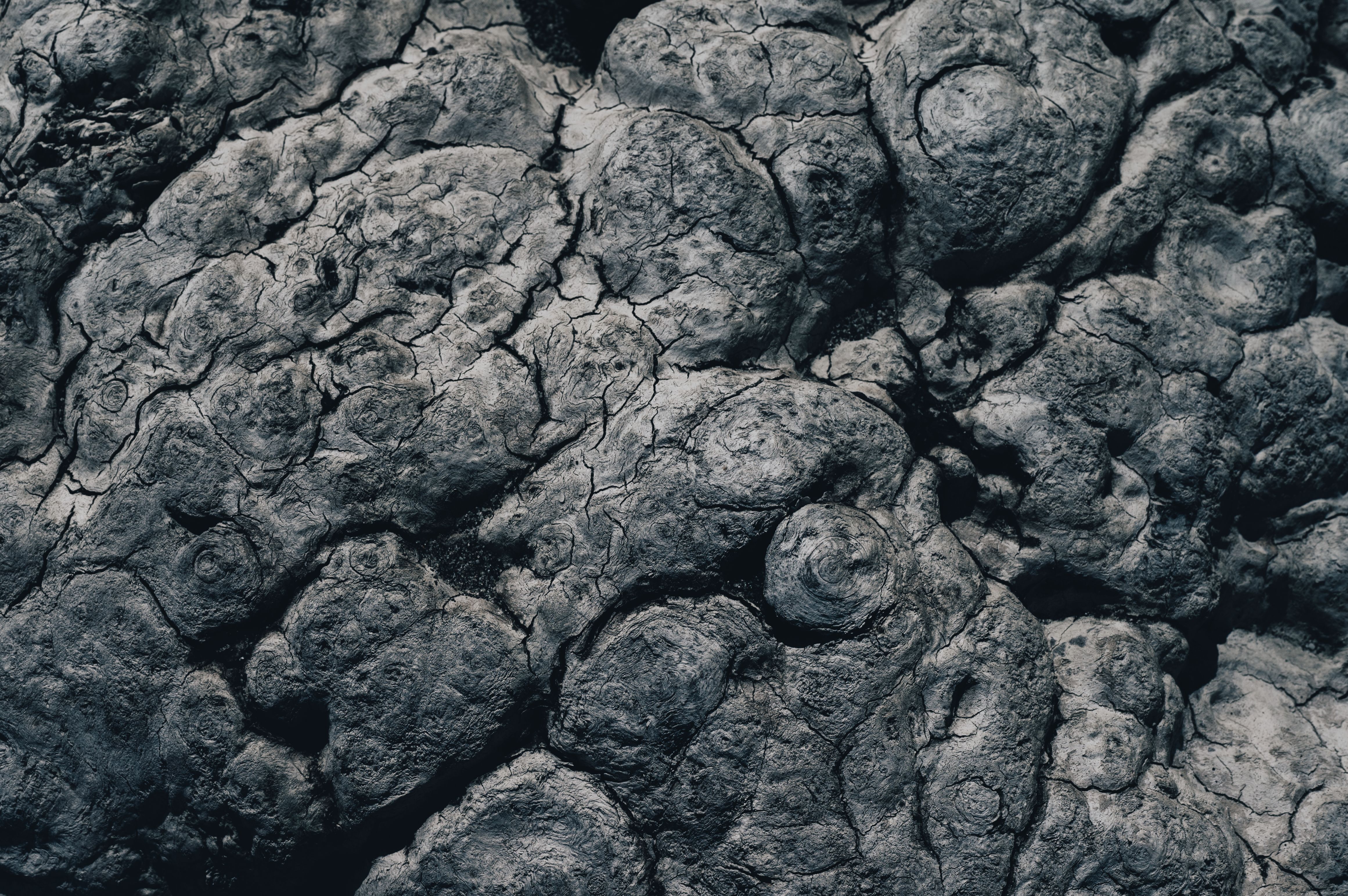 Un paisaje lunar de roca gris y cráteres.
