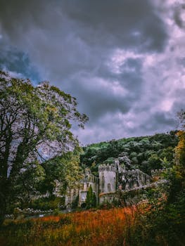 探索一座坐落在郁郁葱葱森林中的废弃哥特式城堡，在黑暗而戏剧性的天空下，感受其令人难忘的美丽