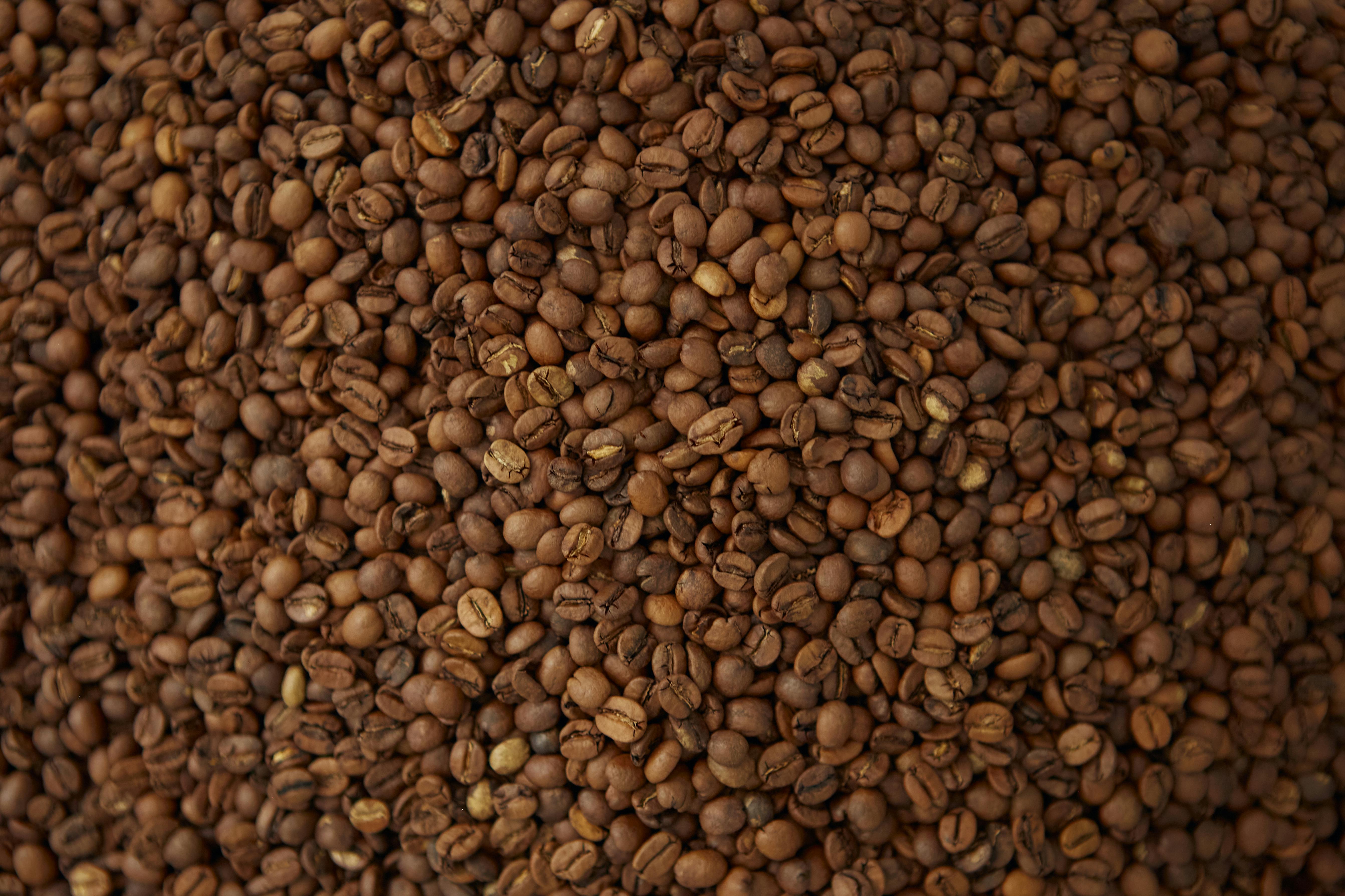Close-up of roasted coffee beans showcasing rich texture, perfect for coffee-themed projects.
