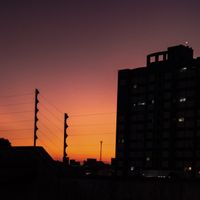 Photo by Ivett M on Pexels