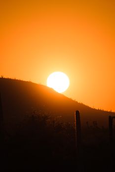 A stunning sunset over a desert horizon with silhouetted cacti.