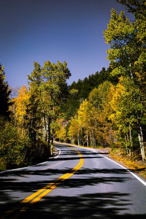 Free Winding road surrounded by vibrant autumn foliage under a clear sky. Stock Photo