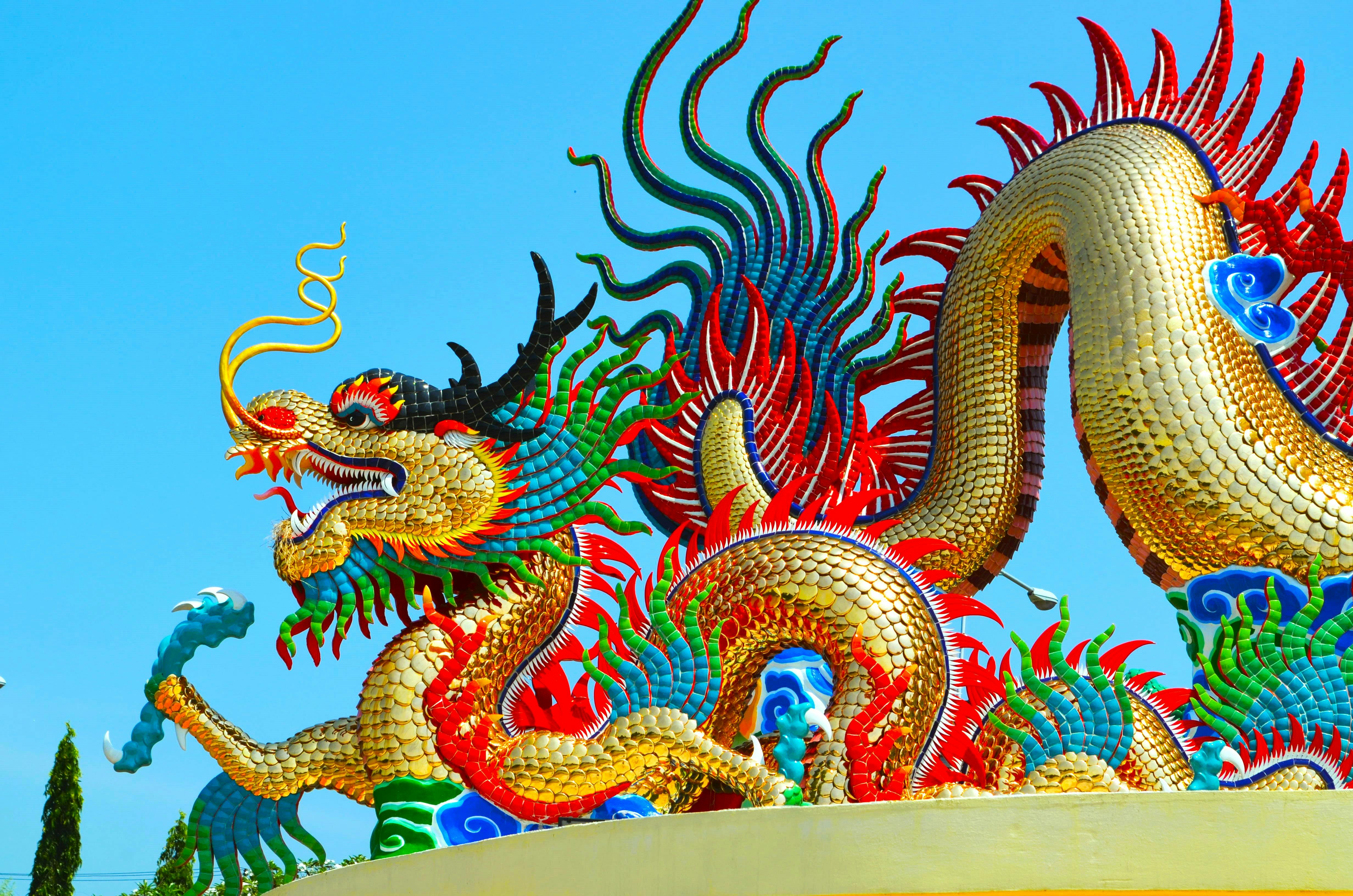 Chinese Dragon Photos, Download The BEST Free Chinese Dragon Stock ...
