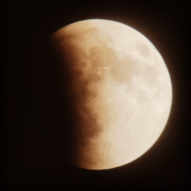 Free stock photo of eclipse, full moon, red moon