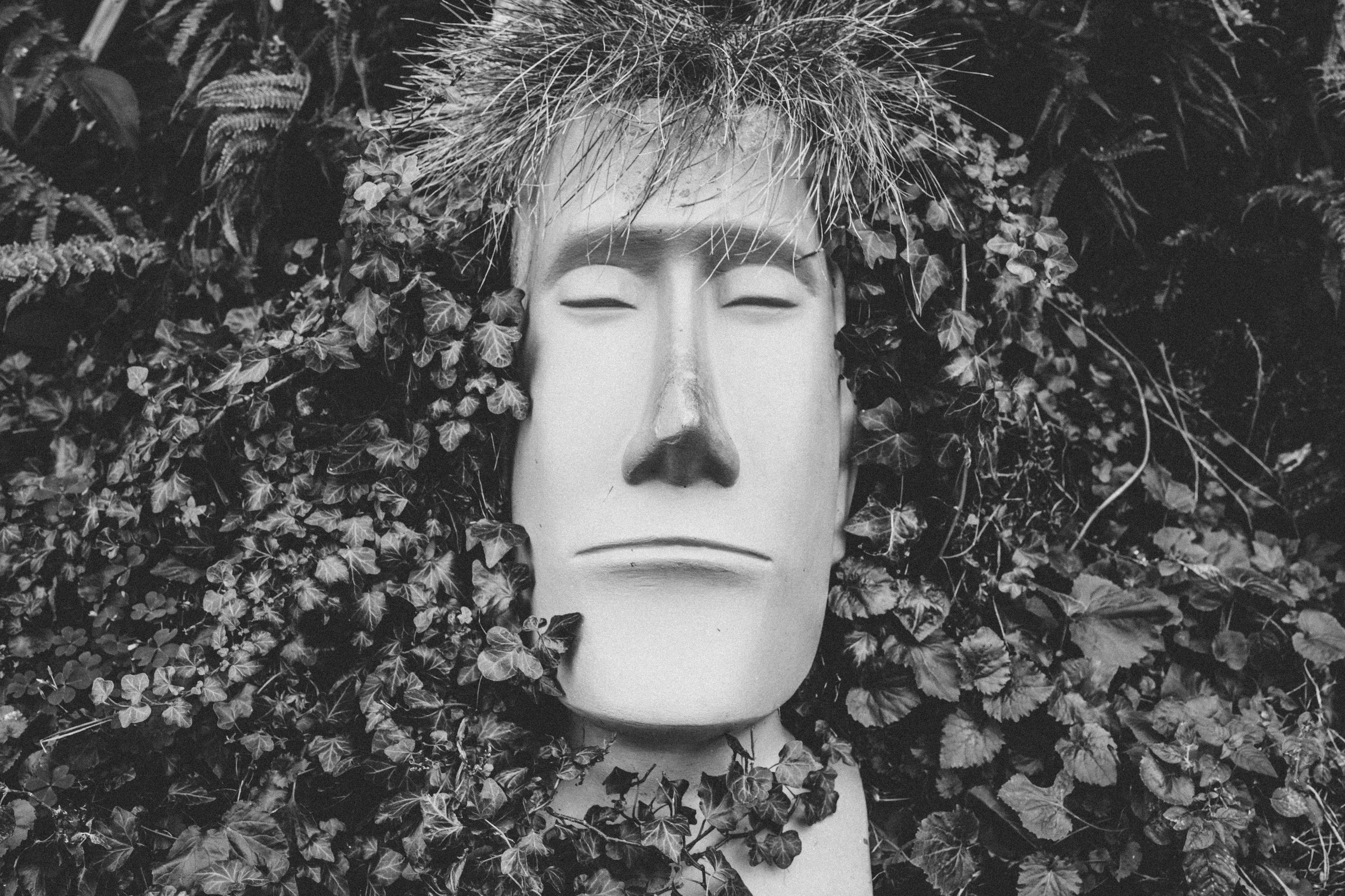 Somme oak inspires West Cork artist's moving sculptures at Skibbereen Arts Festival