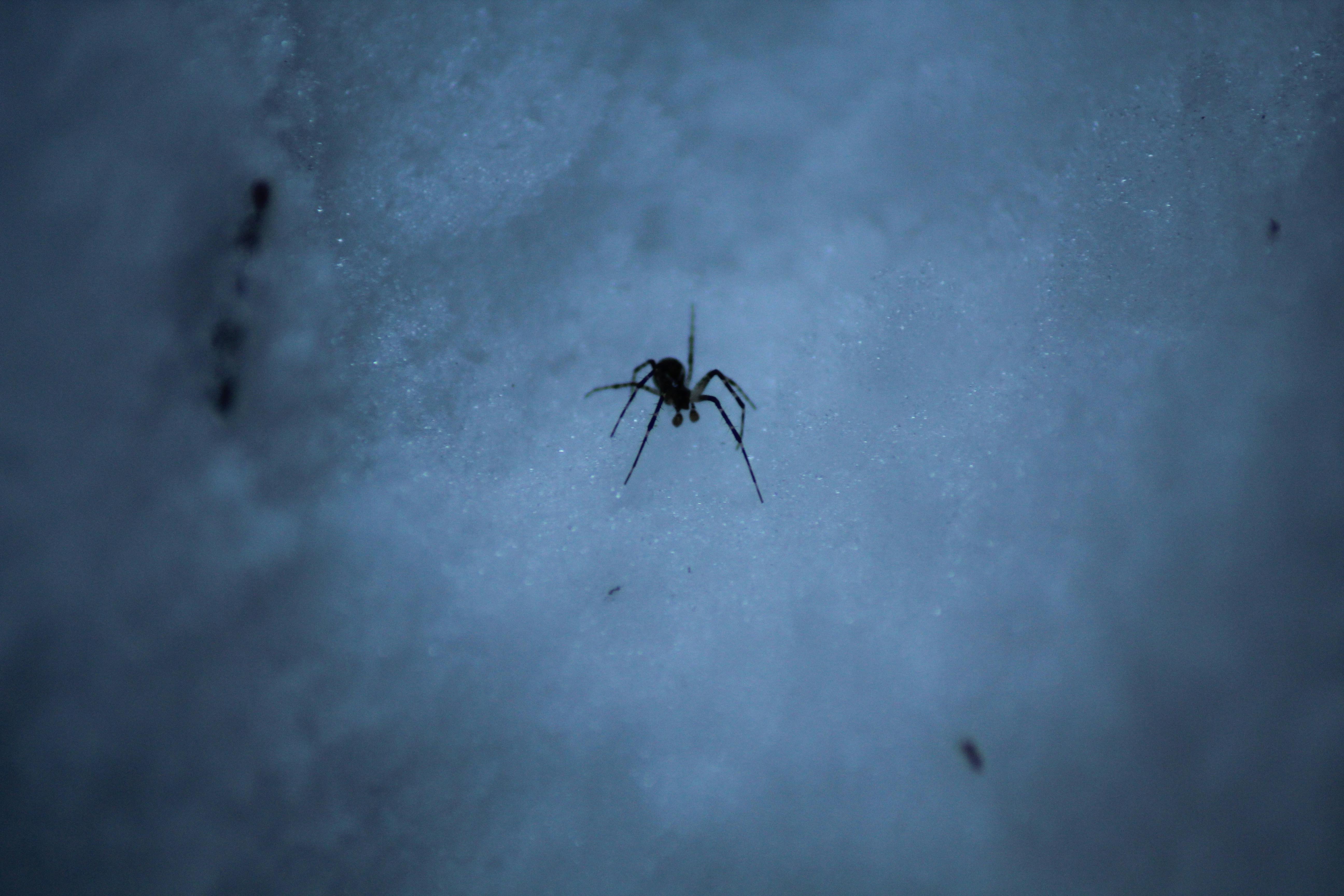 Free stock photo of dark, despair, lost