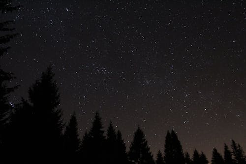 Základová fotografie zdarma na téma čisté nebe, hvězda, hvězdy