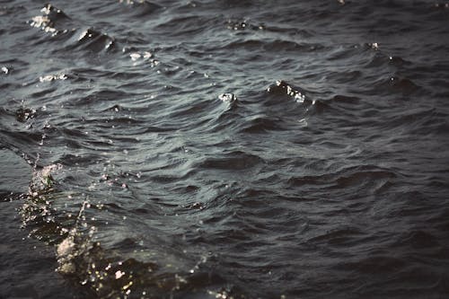 Free stock photo of water, waves