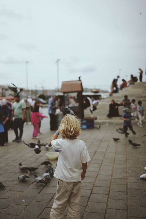 Free A child stands feeding pigeons in a busy public square with people nearby. Stock Photo