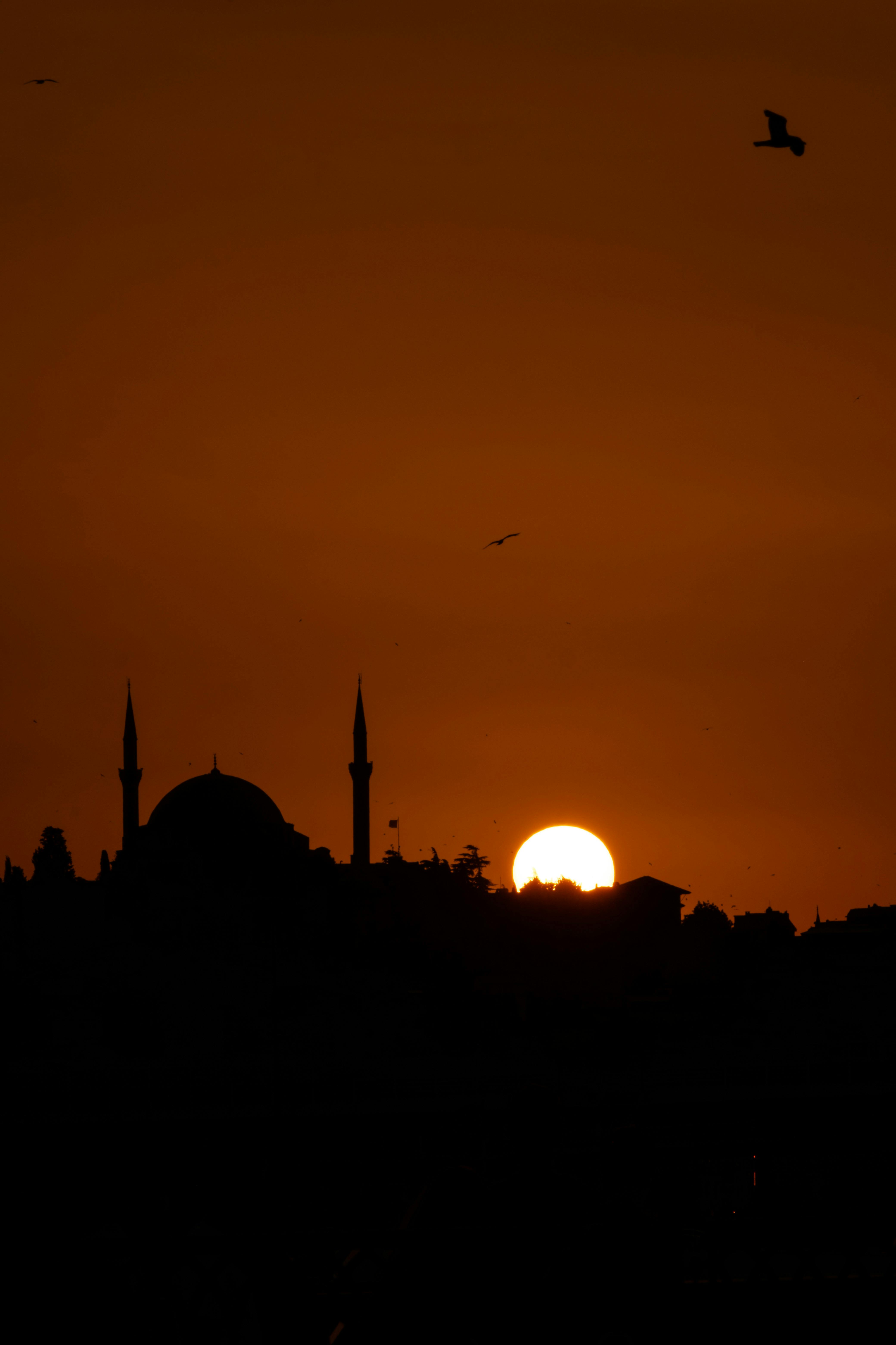 Silhouetted Istanbul mosque with a vibrant sunset background and birds in the sky.