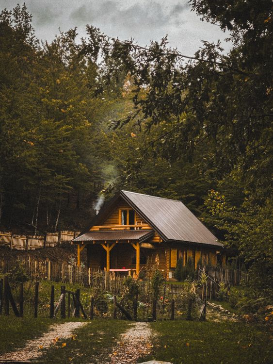 Cozy Wooden Cabin Amidst Forest Foliage · Free Stock Photo