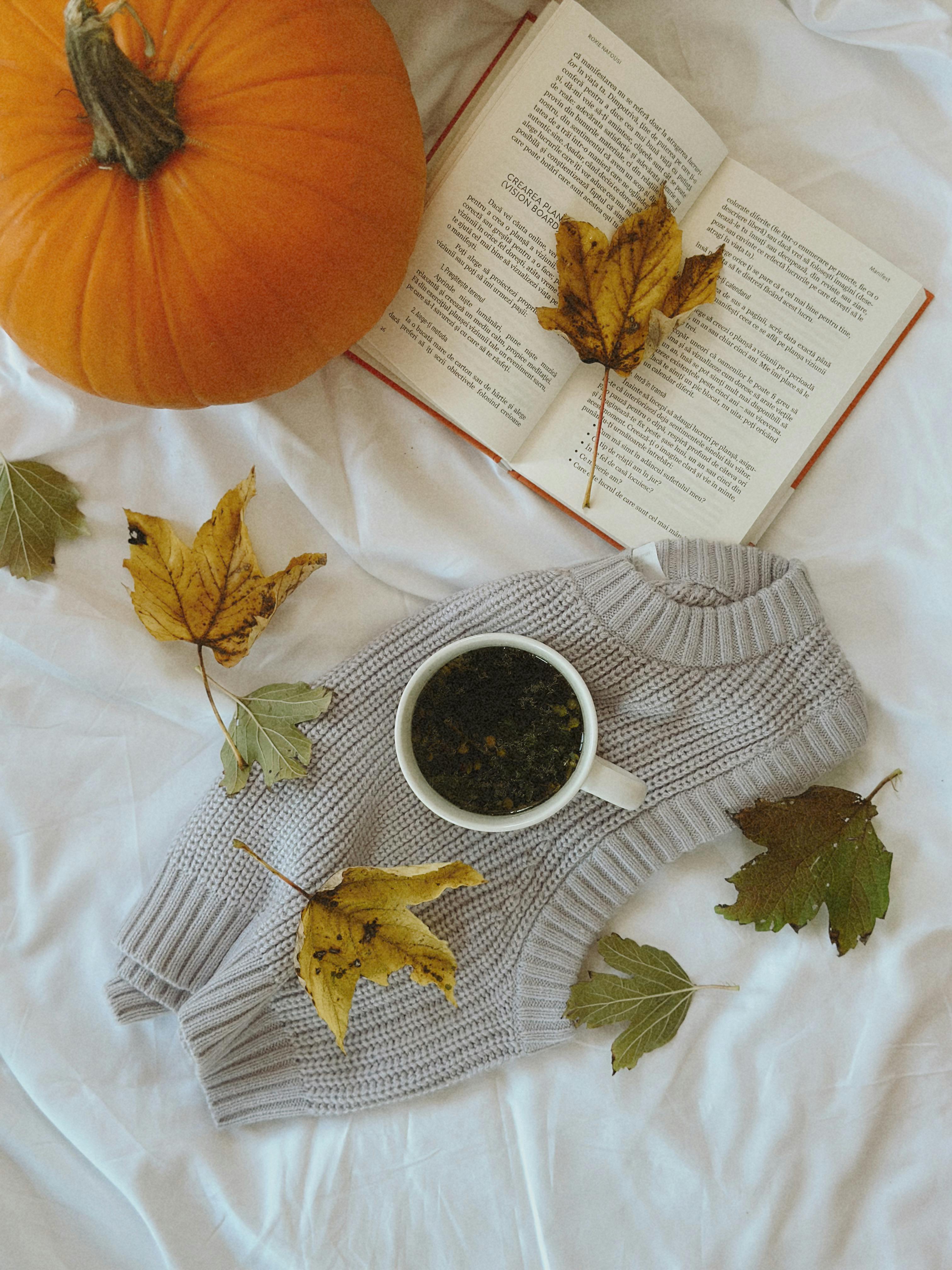 Warm autumn setup with tea, pumpkin, and book on a cozy sweater.