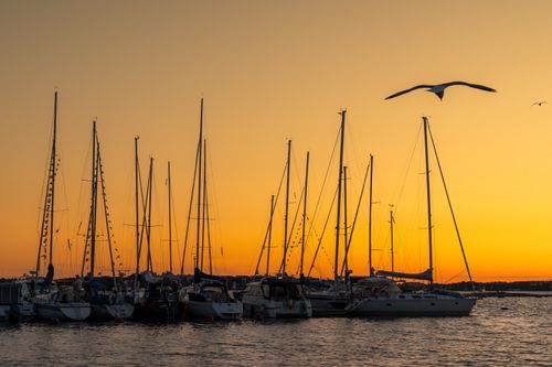 Free Serene sunset view of sailing boats anchored at Pihlajasaari, silhouettes against the orange sky. Stock Photo