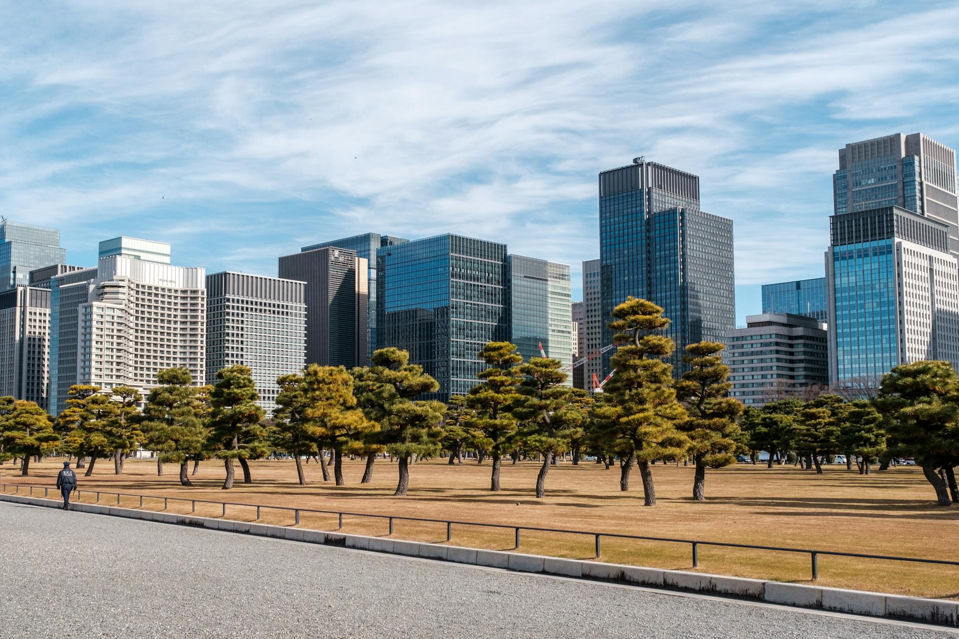 Modern Tokyo Skyline with Greenery in Foreground