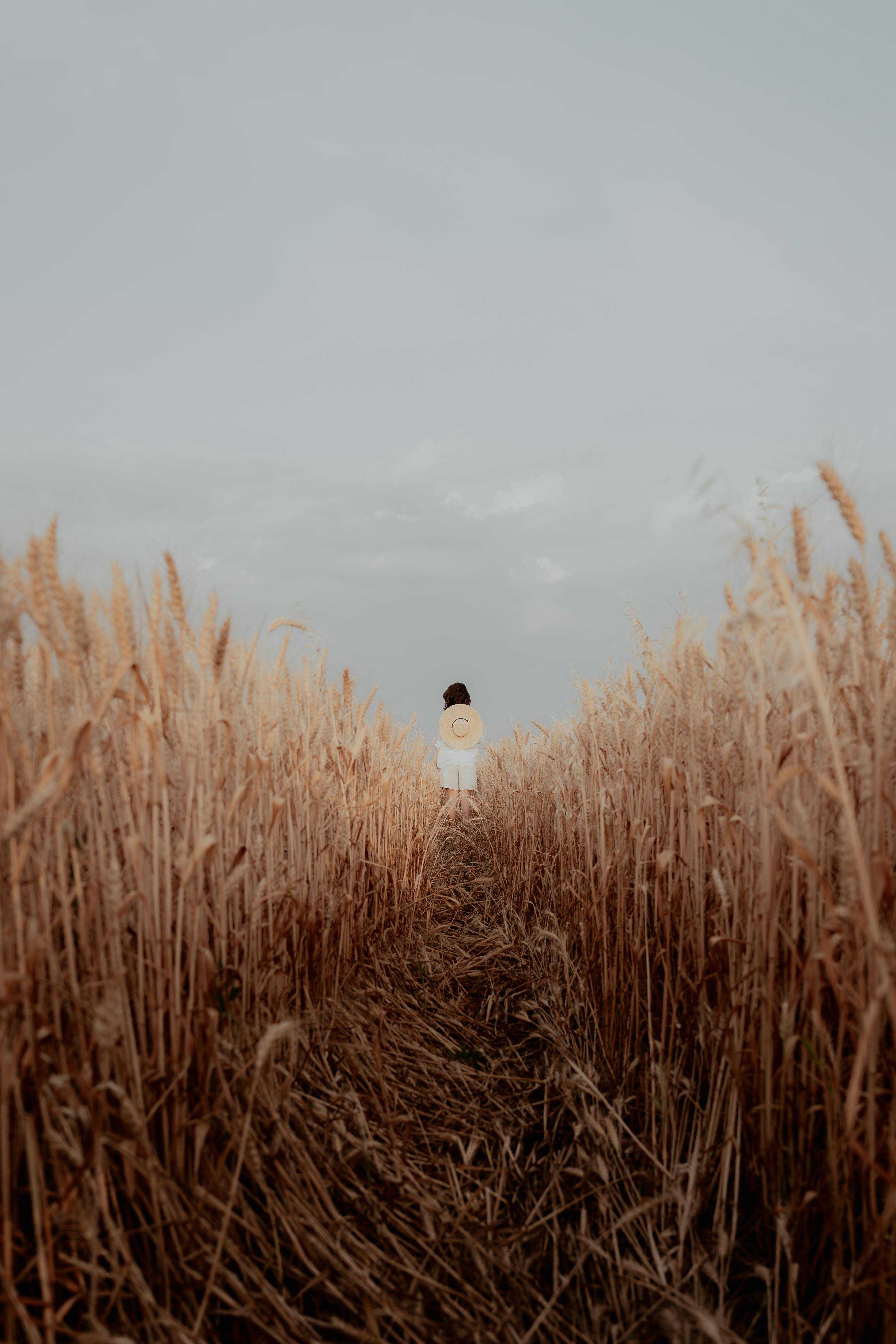 A lone woman stands in a serene wheat field, capturing the essence of tranquility and solitude.