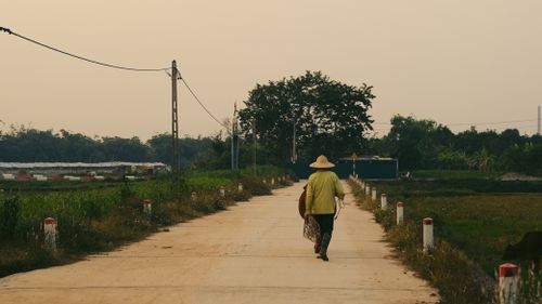 Free A person in traditional attire walks along a rural path in Hà Nam, Vietnam, with lush greenery. Stock Photo