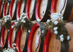 Foto: Bastian Riccardi · Pexels