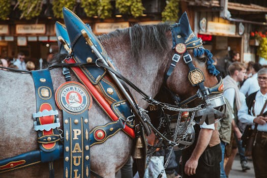 A decorated horse with traditional harness at Oktoberfest, Munich, Germany.