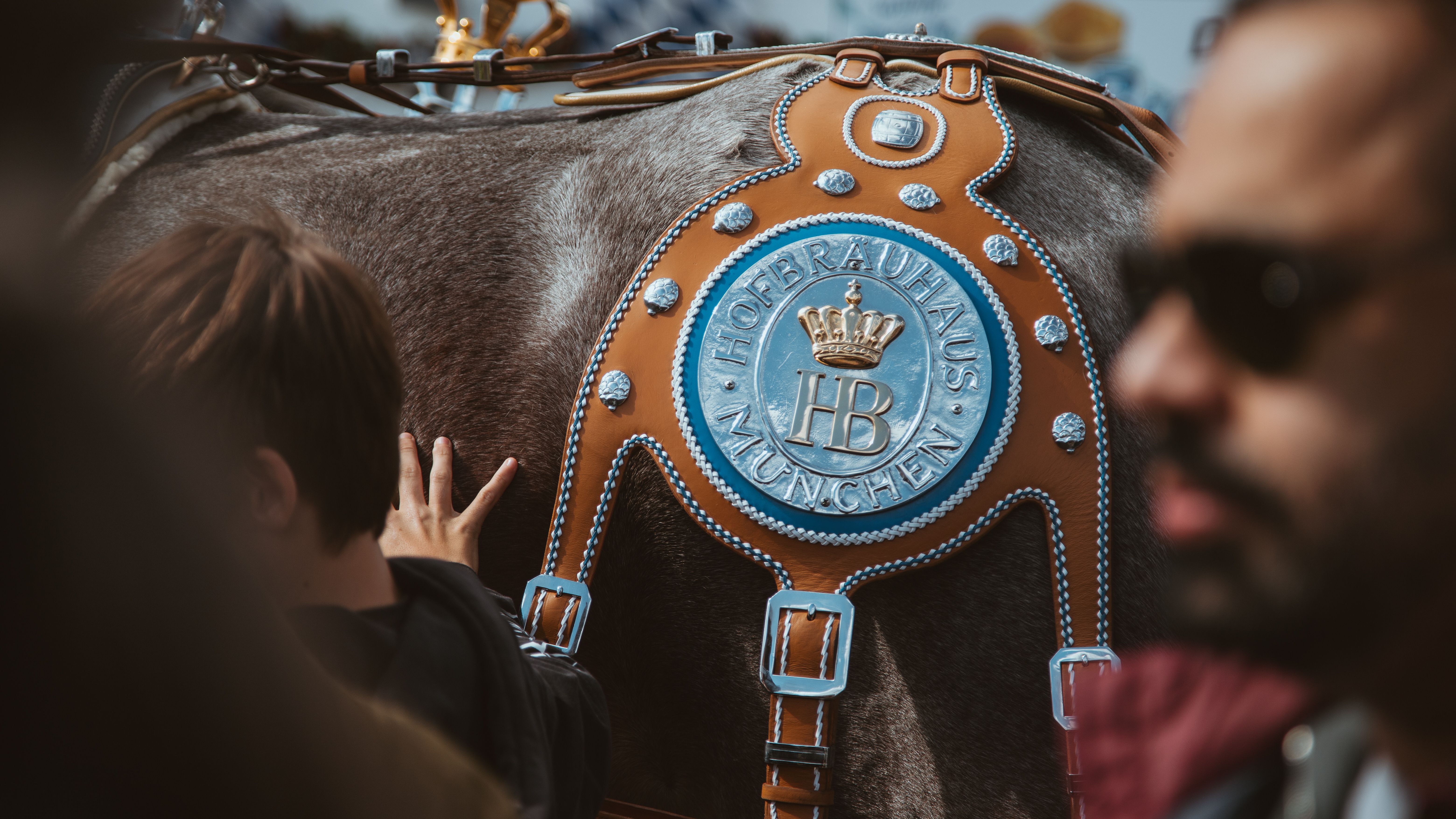 Munich Beer Gardens: Hofbräuhaus vs. Augustinerkeller vs. Englischer Garten (The Honest Comparison)