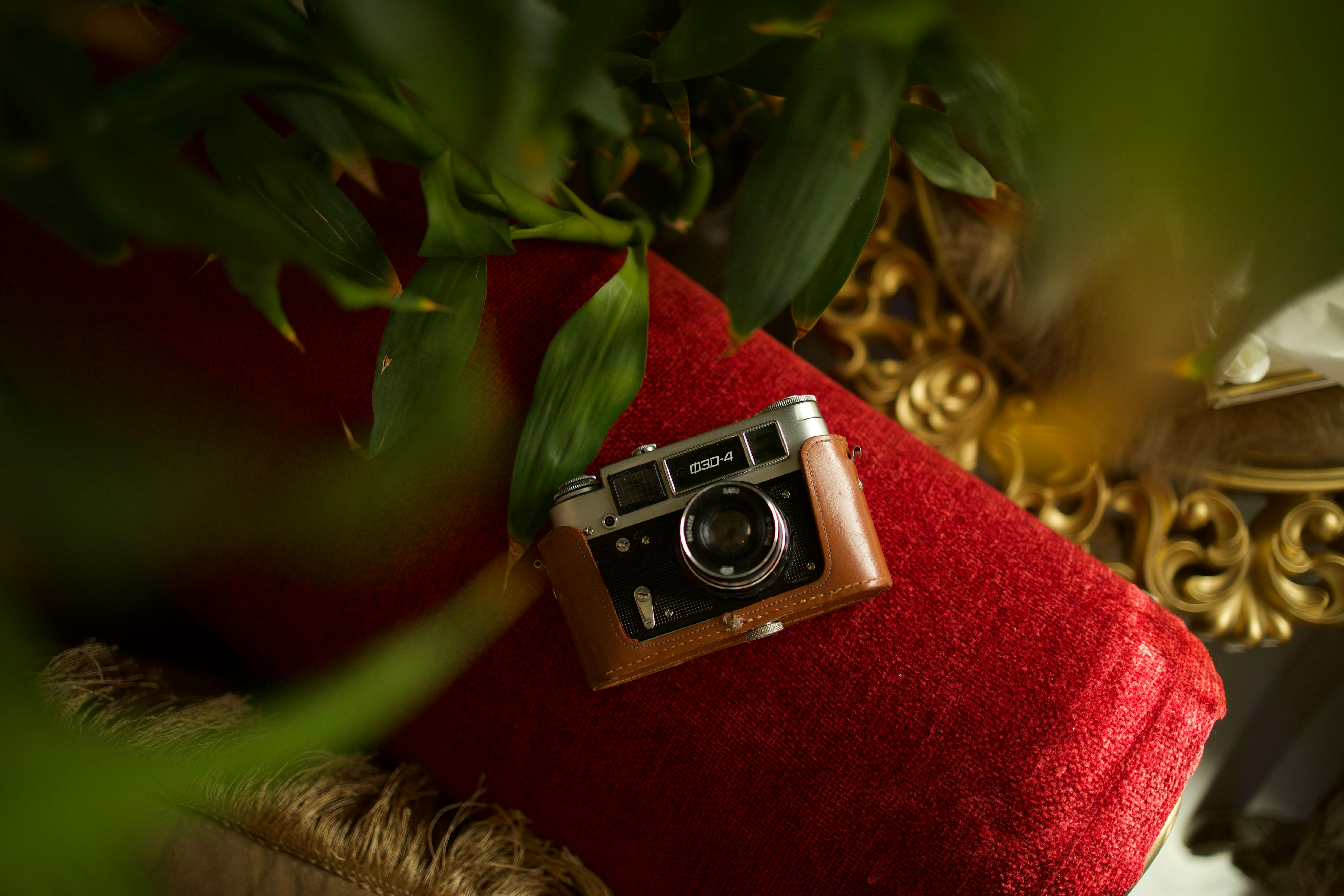A classic vintage camera rests on a plush red velvet cushion surrounded by lush green plants.