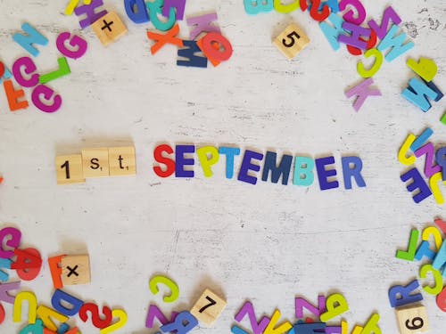 Free stock photo of 1st september, back to school