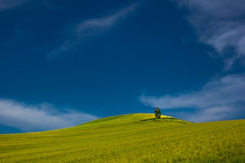 Základová fotografie zdarma na téma denní světlo, farma, hřiště